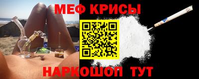 индика Ставрополь