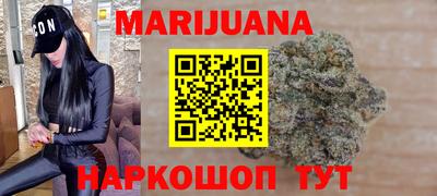 индика Ставрополь