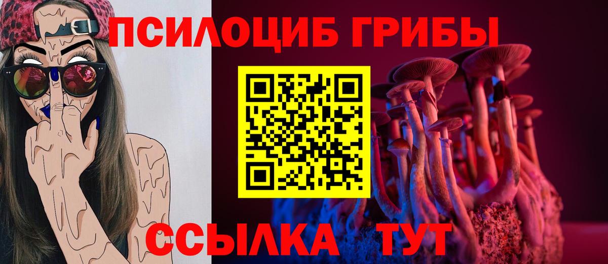 Галлюциногенные грибы Cubensis Мичуринск