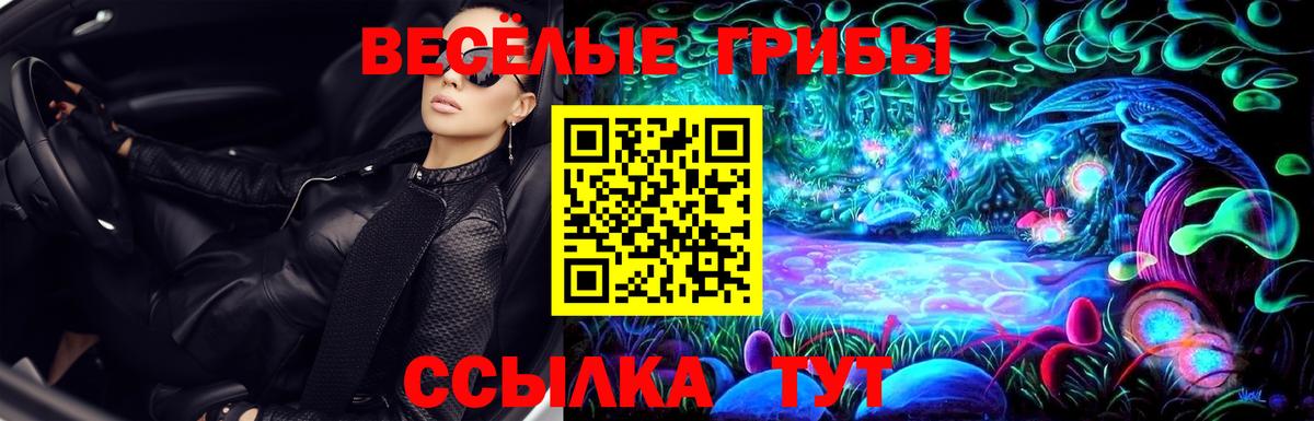Псилоцибиновые грибы MAGIC MUSHROOMS  Вход с VPN  Мичуринск 